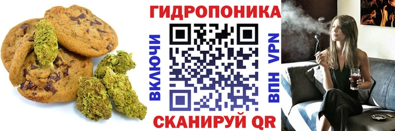 дарнет шоп  Североморск  KRAKEN как войти  сайты даркнета наркотические препараты  Еда ТГК марихуана 