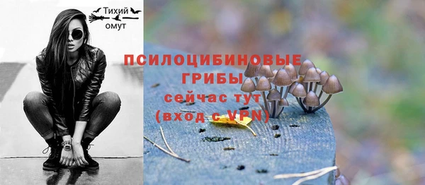 первитин Нягань