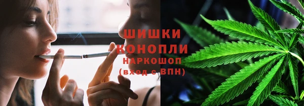 прущие крисы Няндома