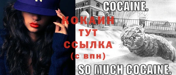 первитин Нягань