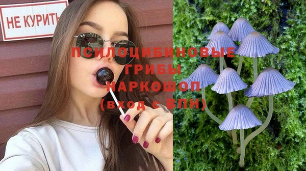 ECSTASY Нязепетровск