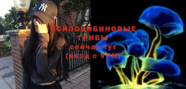 прущие крисы Няндома